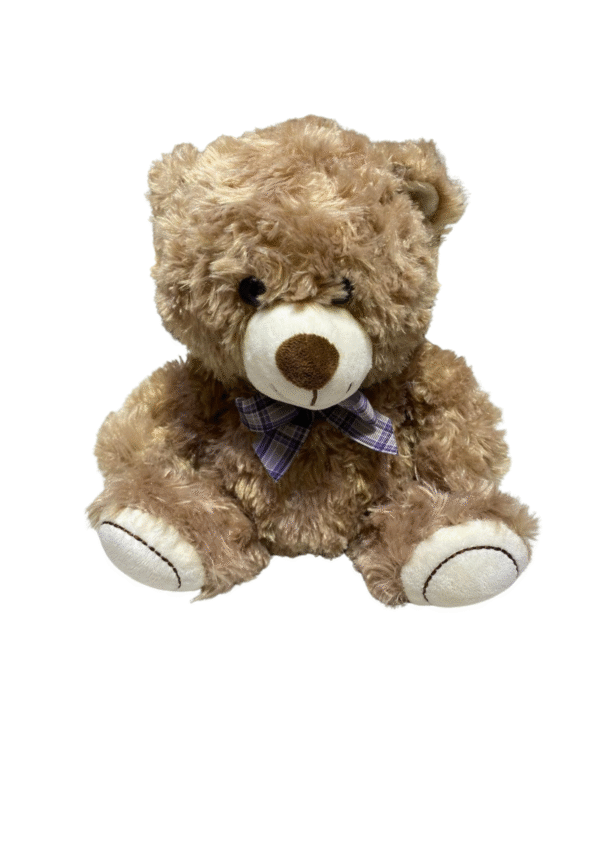 Peluche de Oso, Medidas 38cm de ancho y 40cm de largo