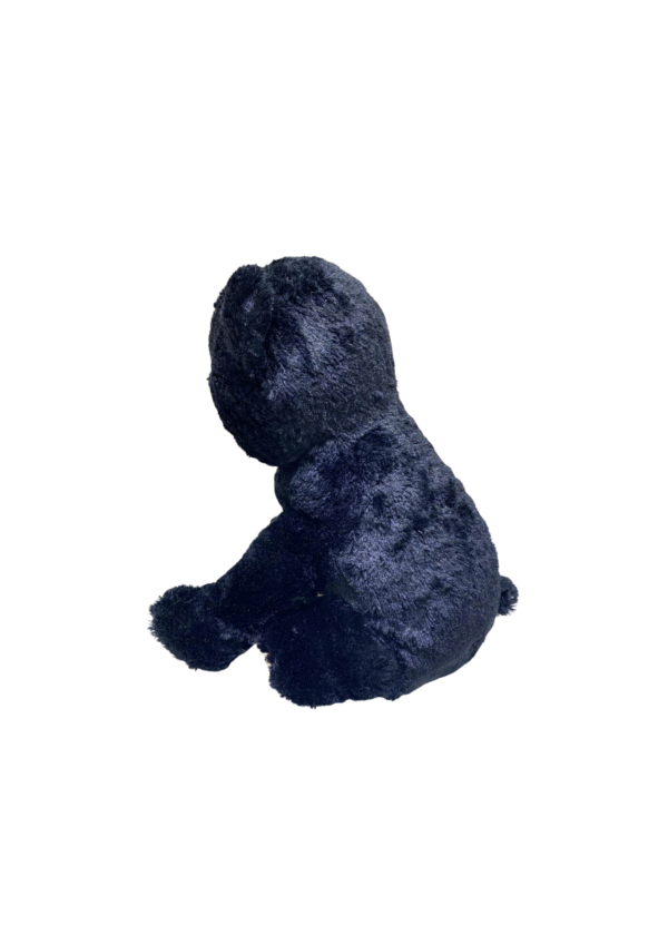 Peluche de Oso , Medidas 23cm de ancho y 46cm de largo - Imagen 2