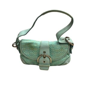 Cartera Celeste Coach, Medidas 19cm de ancho y 28cm de largo